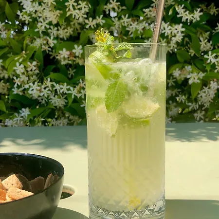 Otel Greet Bassin D'arcachon La Teste-de-Buch