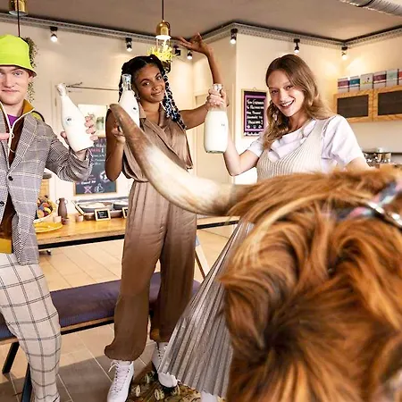 Greet Bassin D'arcachon מלון לה-טסט-דה-בוש