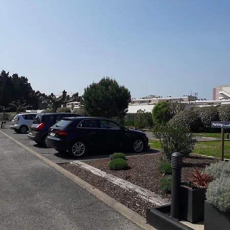 Greet Bassin D'arcachon