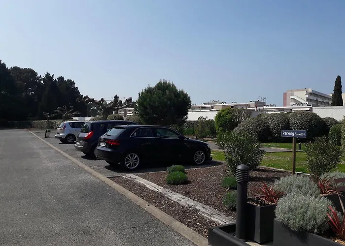 Greet Bassin D'arcachon